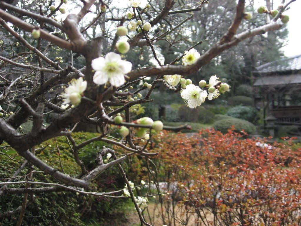 Gosho Nishi Kyoto Heian Hotel Bagian luar foto